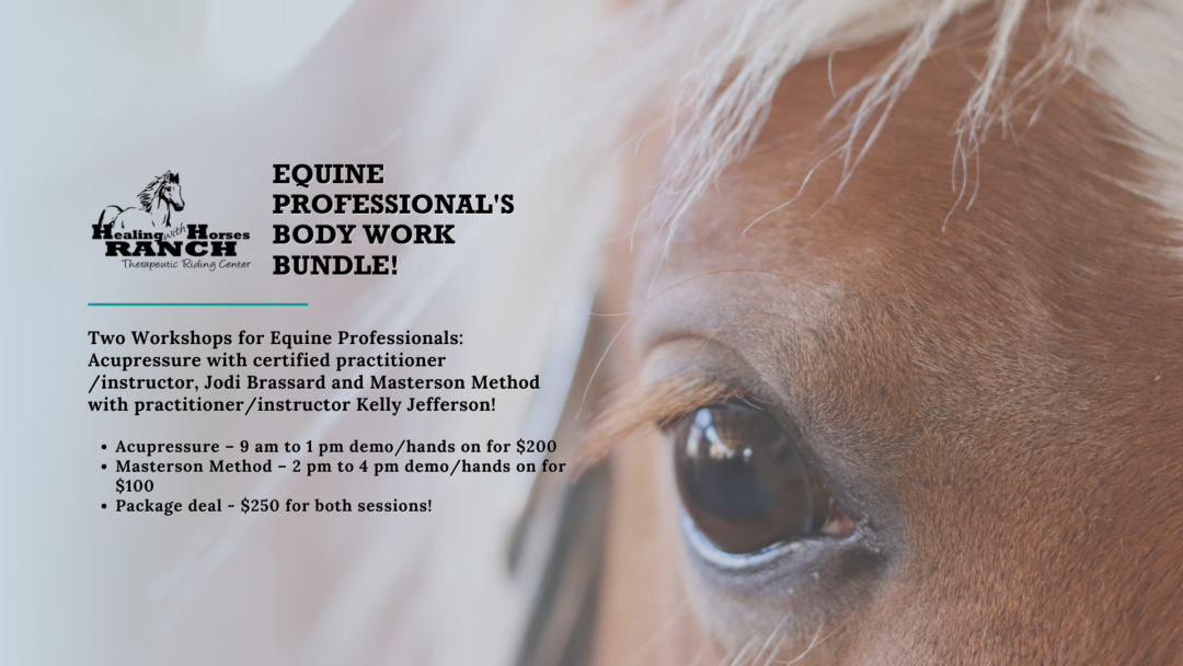 An Equine Professional’s Workshop Bundle: Acupressure & Masterson Method