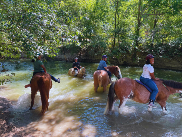 Healing With Horses Rides Into Fall