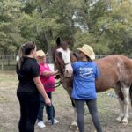 Celebrating the Successful Launch of Corporate Equine-Assisted Learning Workshop