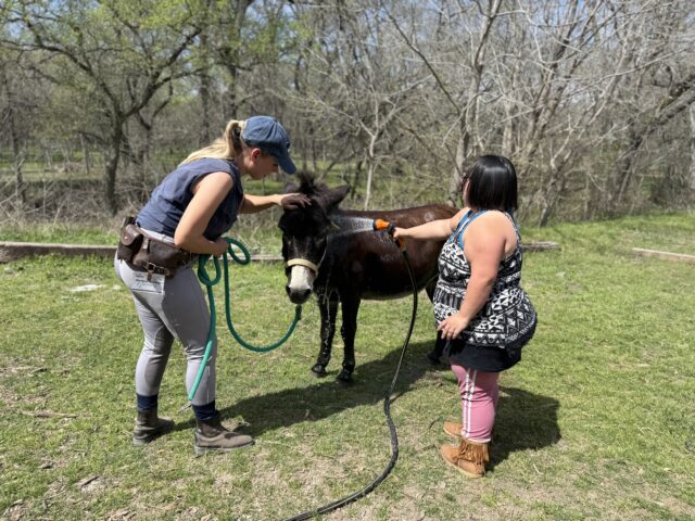 Healing With Horses Ranch Ushers in Spring with Hurdles & Hope