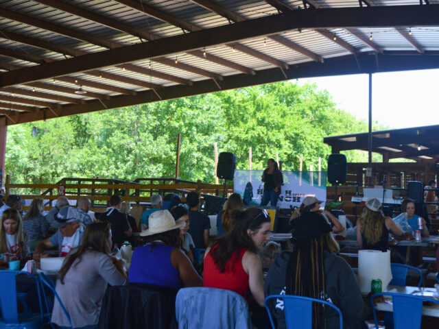 Crawfish, Coffee, and Community: A Season of Momentum at Healing with Horses Ranch