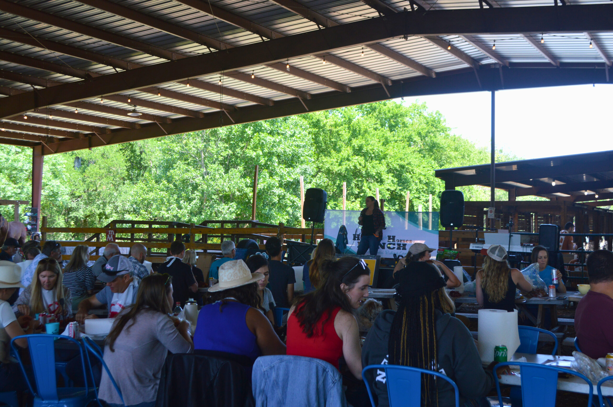 Crawfish, Coffee, and Community: A Season of Momentum at Healing with Horses Ranch